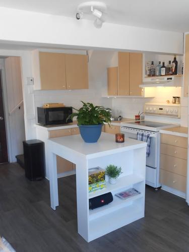 Appartement de 1 chambre à louer à Montreal - Rivière-des-Prairies–Pointe-aux-Trembles — photo 3