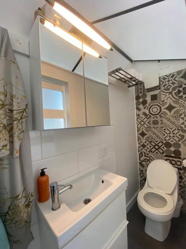 1 bedroom apartment for rent in Montreal - Le Plateau-Mont-Royal — photo 16