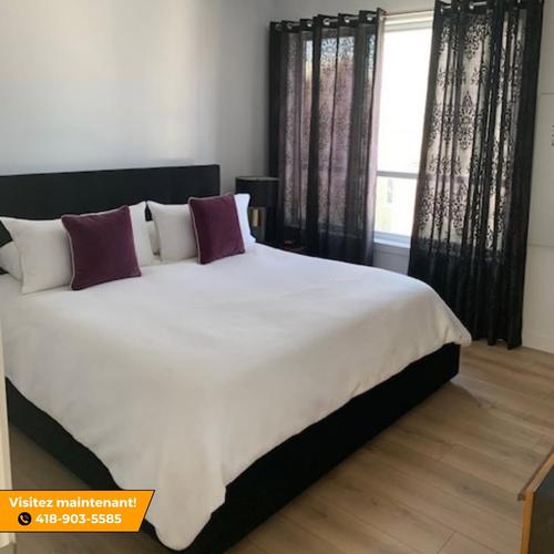 Appartement de 2 chambres à louer à Lévis — photo 19