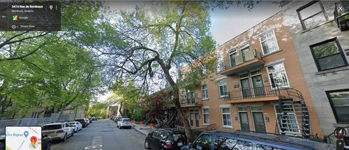 1 bedroom apartment for rent in Montreal - Le Plateau-Mont-Royal — photo 9