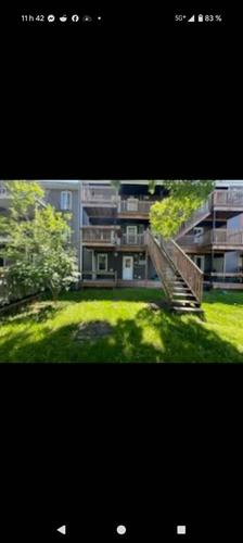 Appartement de 2 chambres à louer à Québec - La Cité-Limoilou — photo 7