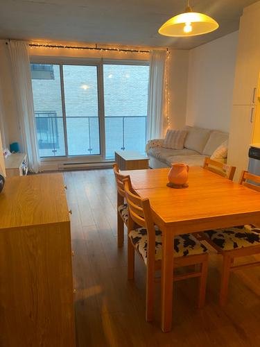 1 bedroom apartment for rent in Montreal - Ville-Marie — photo 6