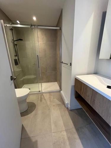 Appartement de 2 chambres à louer à Montreal - Rosemont–La Petite-Patrie — photo 7