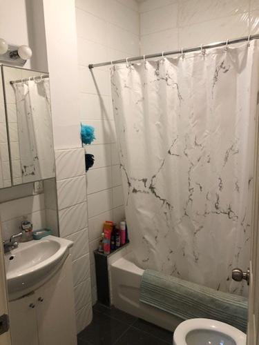 Appartement de 2 chambres à louer à Montreal - Le Plateau-Mont-Royal — photo 10