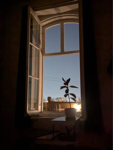 Appartement de 2 chambres à louer à Lévis — photo 11