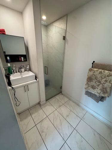 1 bedroom apartment for rent in Montreal - Le Plateau-Mont-Royal — photo 6