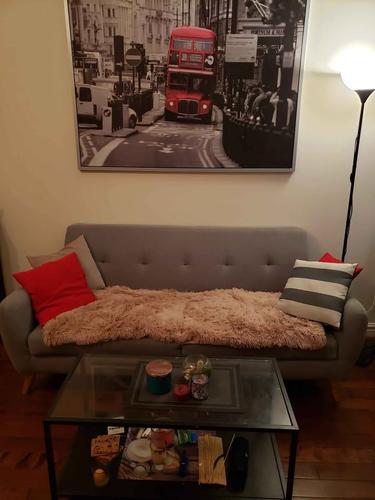 Appartement de 1 chambre à louer à Montreal - Le Plateau-Mont-Royal — photo 12