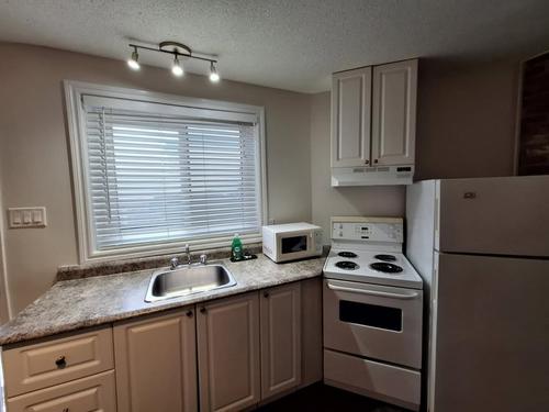 Appartement de 1 chambre à louer à Gatineau — photo 2