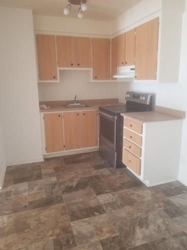 Appartement de 1 chambre à louer à Longueuil — photo 5