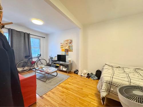 1 bedroom apartment for rent in Montreal - Le Plateau-Mont-Royal — photo 3