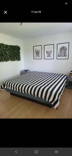 2 bedrooms apartment for rent in Longueuil — photo 10