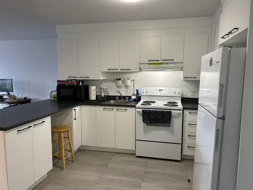 Appartement de 1 chambre à louer à Gatineau — photo 3