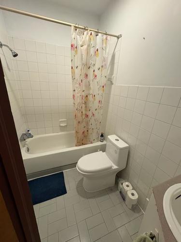 Appartement de 1 chambre à louer à Québec - La Cité-Limoilou — photo 3