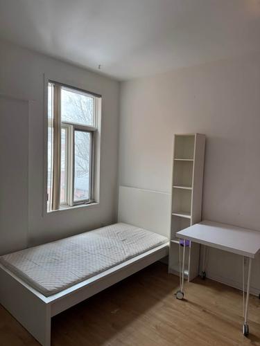 Studio à louer à Québec - La Cité-Limoilou — photo 4