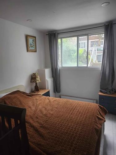 Appartement de 1 chambre à louer à Montreal - Rosemont–La Petite-Patrie — photo 4