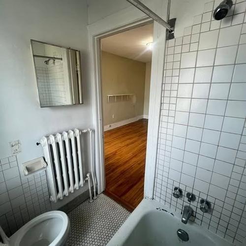 Studio for rent in Montreal - Le Plateau-Mont-Royal — photo 6