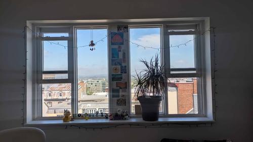 Appartement de 1 chambre à louer à Québec - La Cité-Limoilou — photo 5