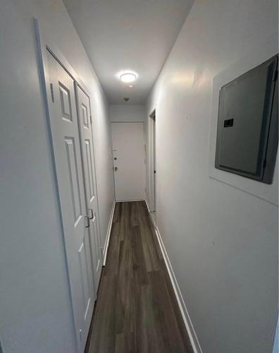 Studio à louer à Montreal - Rosemont–La Petite-Patrie — photo 3