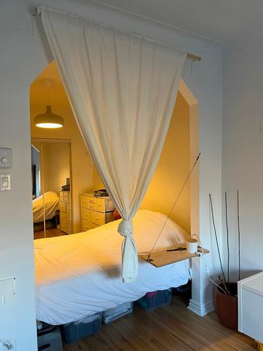 Appartement de 1 chambre à louer à Montreal - Rosemont–La Petite-Patrie — photo 4