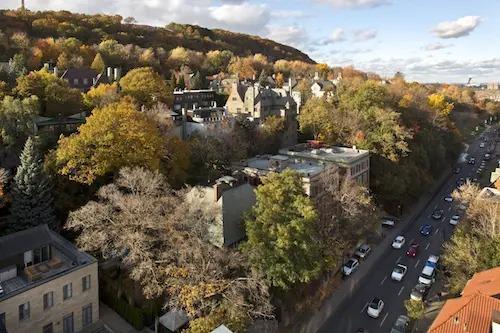 1 bedroom apartment for rent in Montreal - Ville-Marie — photo 5