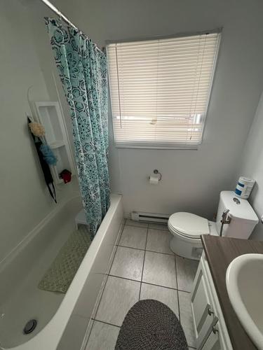 1 bedroom apartment for rent in Lévis — photo 6
