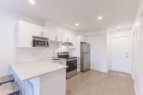 1 bedroom apartment for rent in Montreal - Rosemont–La Petite-Patrie — photo 2