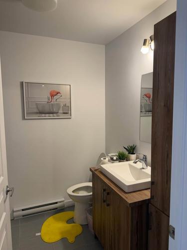 1 bedroom apartment for rent in Longueuil — photo 11