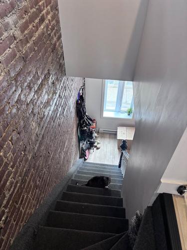 Appartement de 2 chambres à louer à Québec - La Cité-Limoilou — photo 13