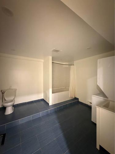 2 bedrooms apartment for rent in Montreal - Le Plateau-Mont-Royal — photo 17
