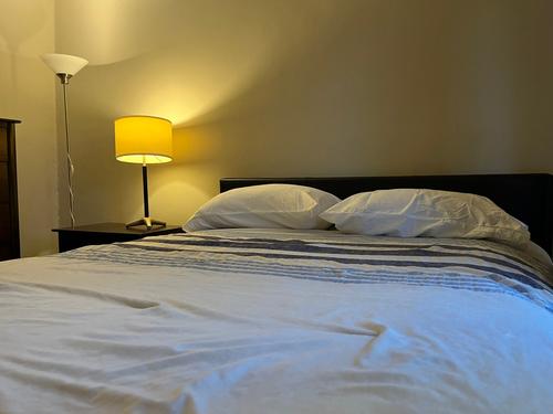 Appartement de 1 chambre à louer à Montreal - Le Plateau-Mont-Royal — photo 7