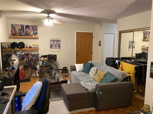 Studio for rent in Montreal - Le Plateau-Mont-Royal — photo 2
