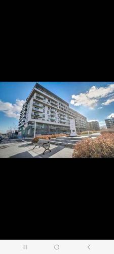 Appartement de 2 chambres à louer à Montreal - Rosemont–La Petite-Patrie — photo 2