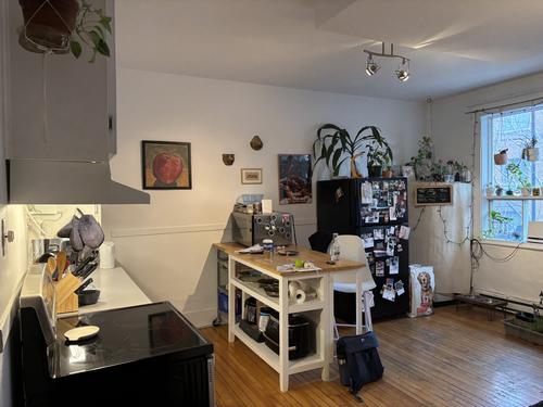 2 bedrooms apartment for rent in Montreal - Rosemont–La Petite-Patrie — photo 7
