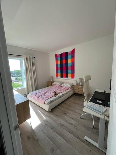 1 bedroom apartment for rent in Lévis — photo 5
