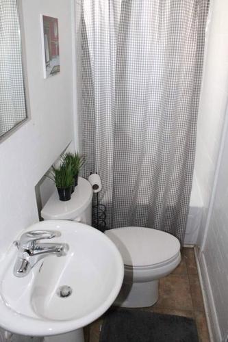 1 bedroom apartment for rent in - — photo 3