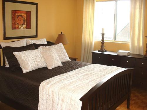 1 bedroom apartment for rent in - — photo 3