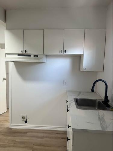 Appartement de 1 chambre à louer à Gatineau — photo 7