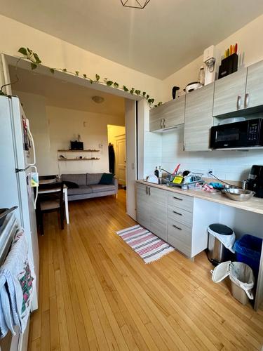 1 bedroom apartment for rent in Montreal - Villeray–Saint-Michel–Parc-Extension — photo 2