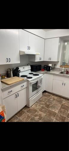 1 bedroom apartment for rent in Lévis — photo 4