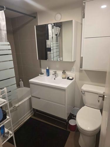 1 bedroom apartment for rent in Montreal - Saint-Laurent — photo 5
