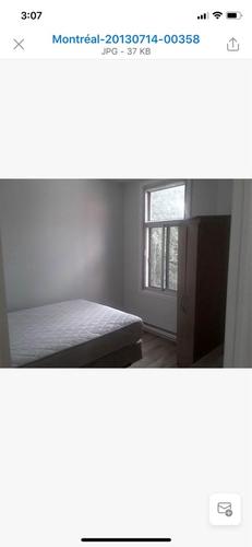 5 bedrooms apartment for rent in Montreal - Le Plateau-Mont-Royal — photo 11