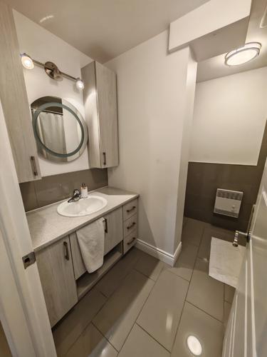 1 bedroom apartment for rent in Montreal - Rosemont–La Petite-Patrie — photo 2