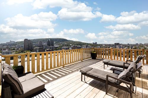 1 bedroom apartment for rent in Montreal - Le Plateau-Mont-Royal — photo 25