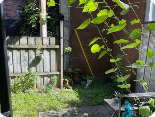 1 bedroom apartment for rent in Montreal - Le Plateau-Mont-Royal — photo 10