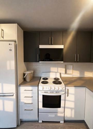 1 bedroom apartment for rent in Montreal - Le Plateau-Mont-Royal — photo 3