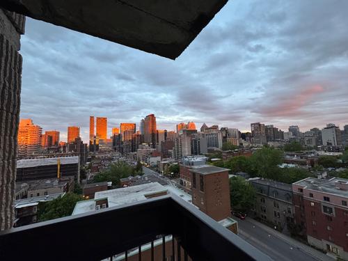 Appartement de 1 chambre à louer à Montreal - Le Plateau-Mont-Royal — photo 8