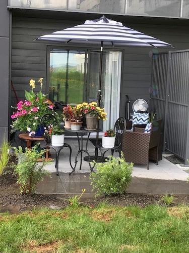 1 bedroom apartment for rent in Laval — photo 11
