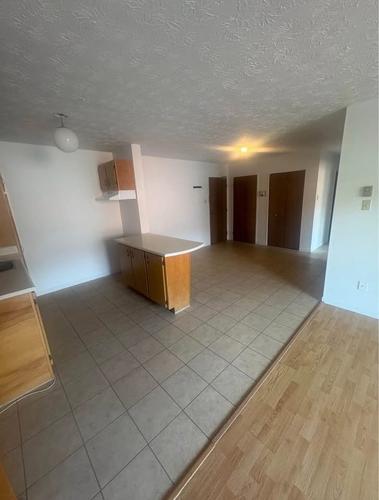 Appartement de 2 chambres à louer à Sherbrooke — photo 4