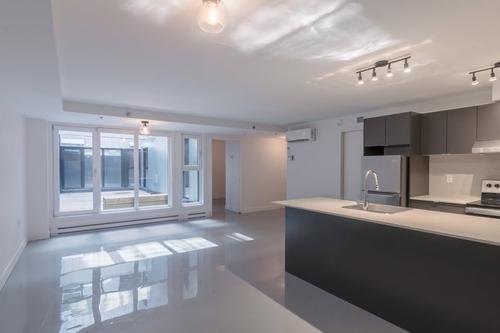 1 bedroom apartment for rent in Montreal - Le Plateau-Mont-Royal — photo 3