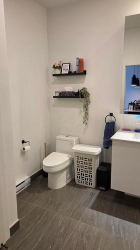 Appartement de 1 chambre à louer à Longueuil — photo 9